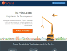 Tablet Screenshot of hamine.com